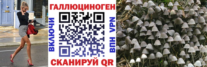 Купить где  Учалы  Псилоцибиновые грибы MAGIC MUSHROOMS 